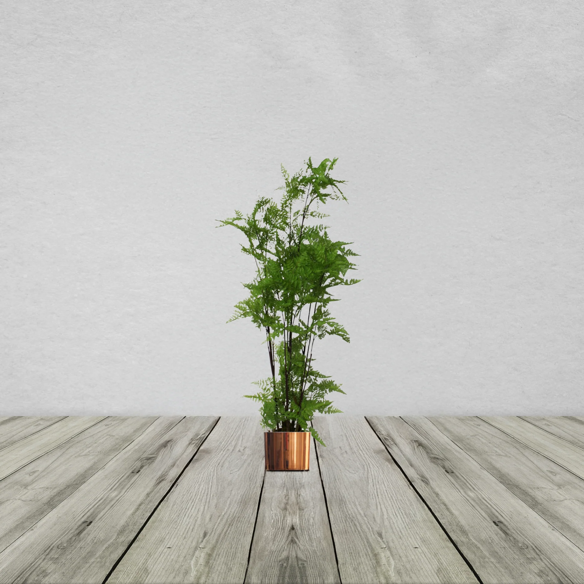 Artificial Natural Moss Base Fern Foliage Plant with Planter