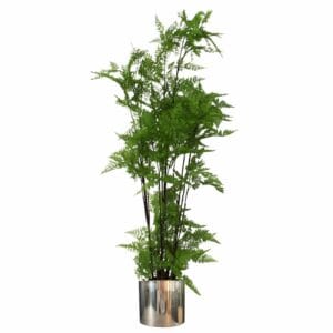 Artificial Natural Moss Base Fern Foliage Plant with Planter - Image 2