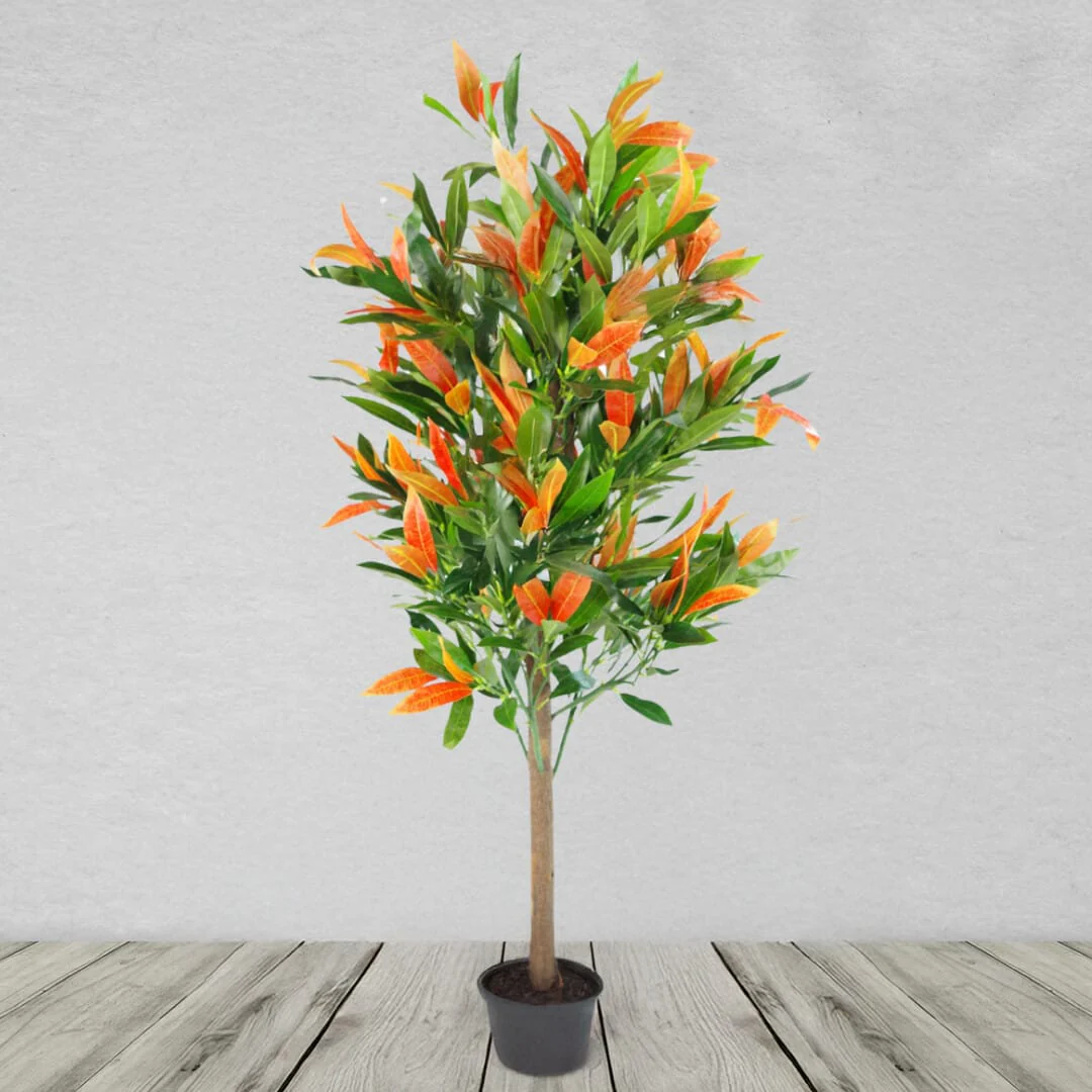 Artificial Red and Green Ficus Tree