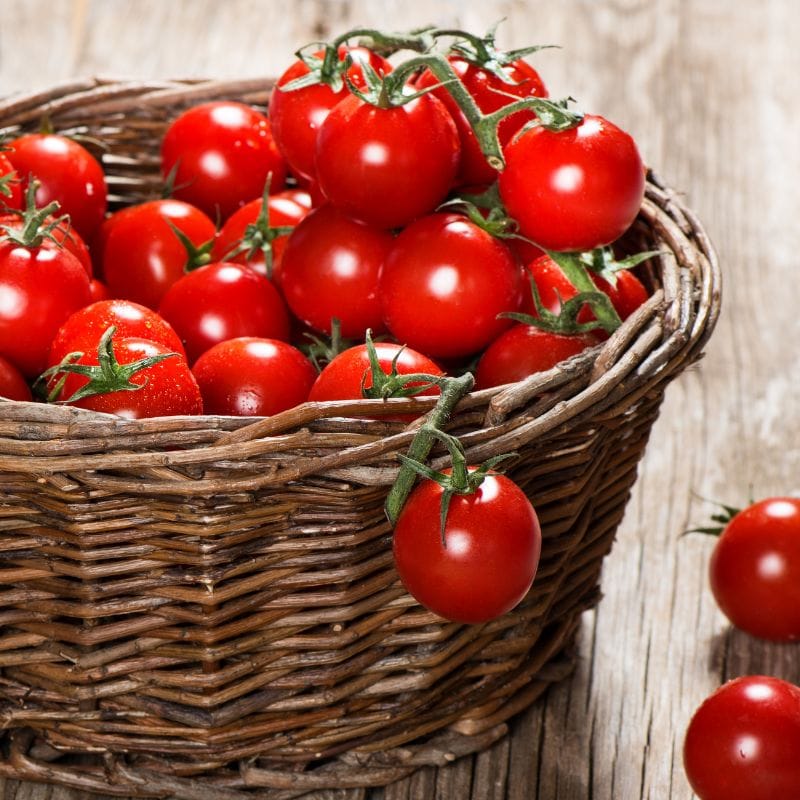 Baby Tomatoes on the Vine
