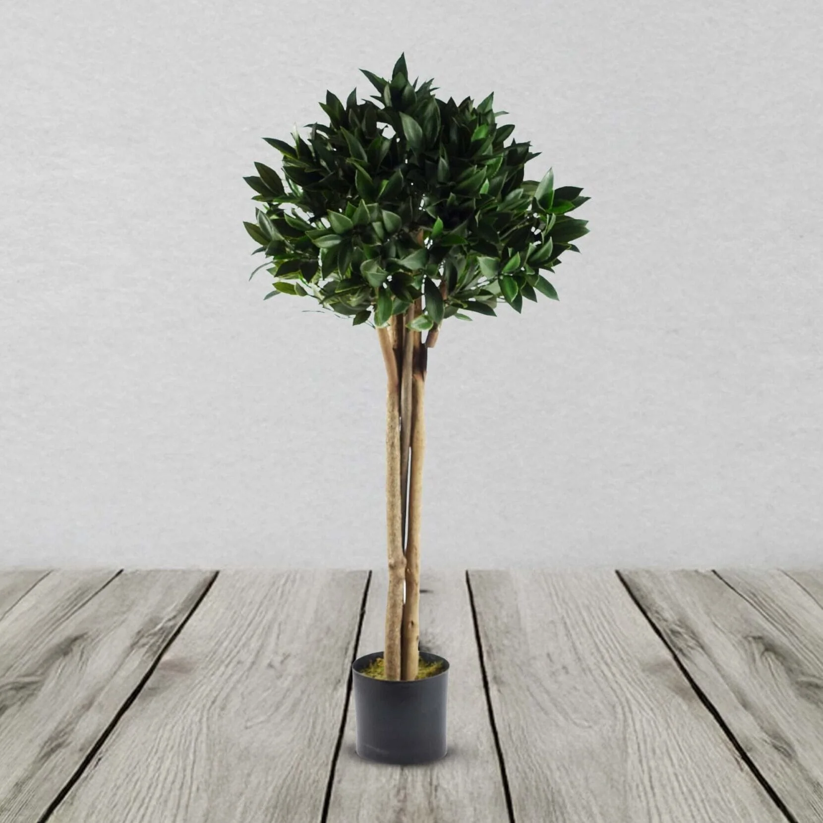 Bay Tree Laurel UV Resistant Outdoor Topiary