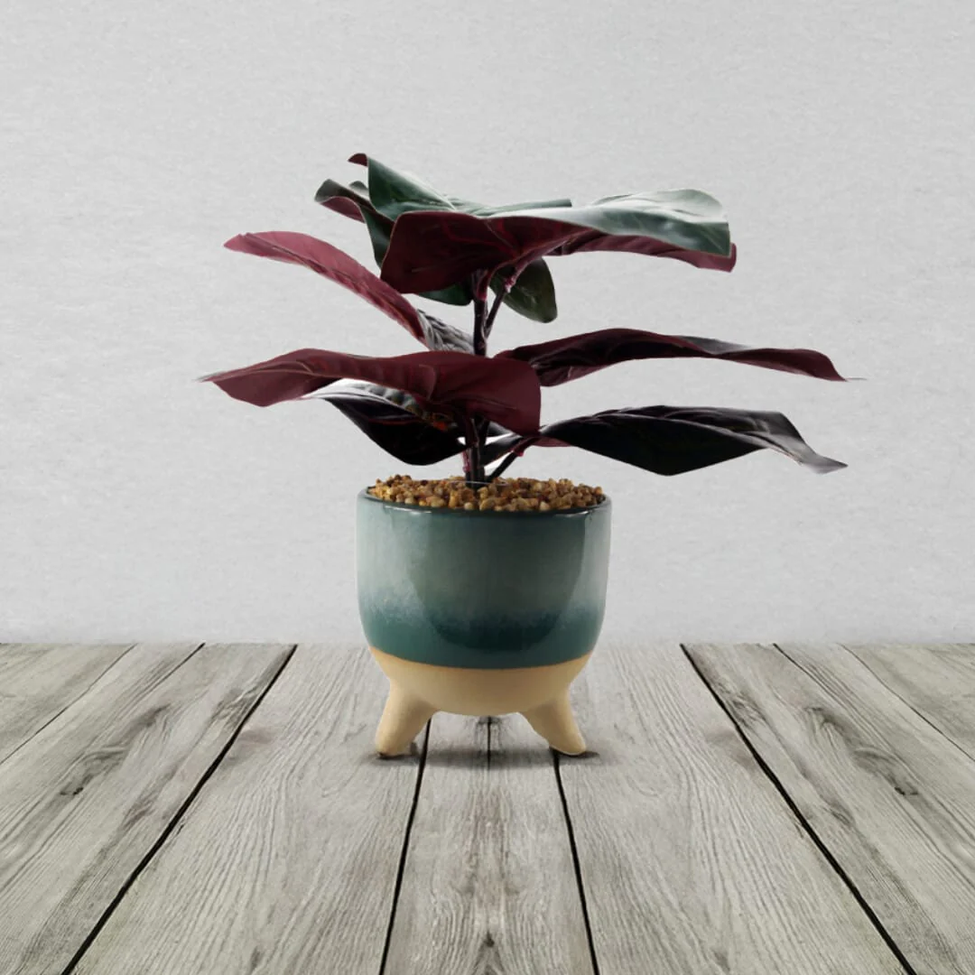 Ficus Artificial Plant with Ceramic Planter