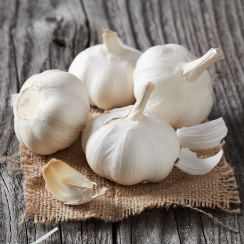 Garlic - Each