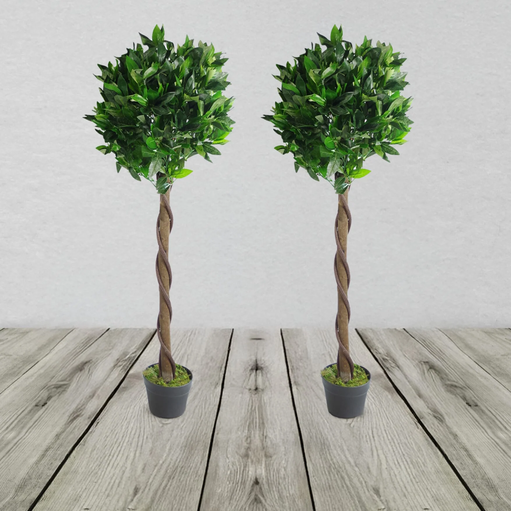 Pair of Twisted Stem Artificial Topiary Bay Laurel Ball Trees