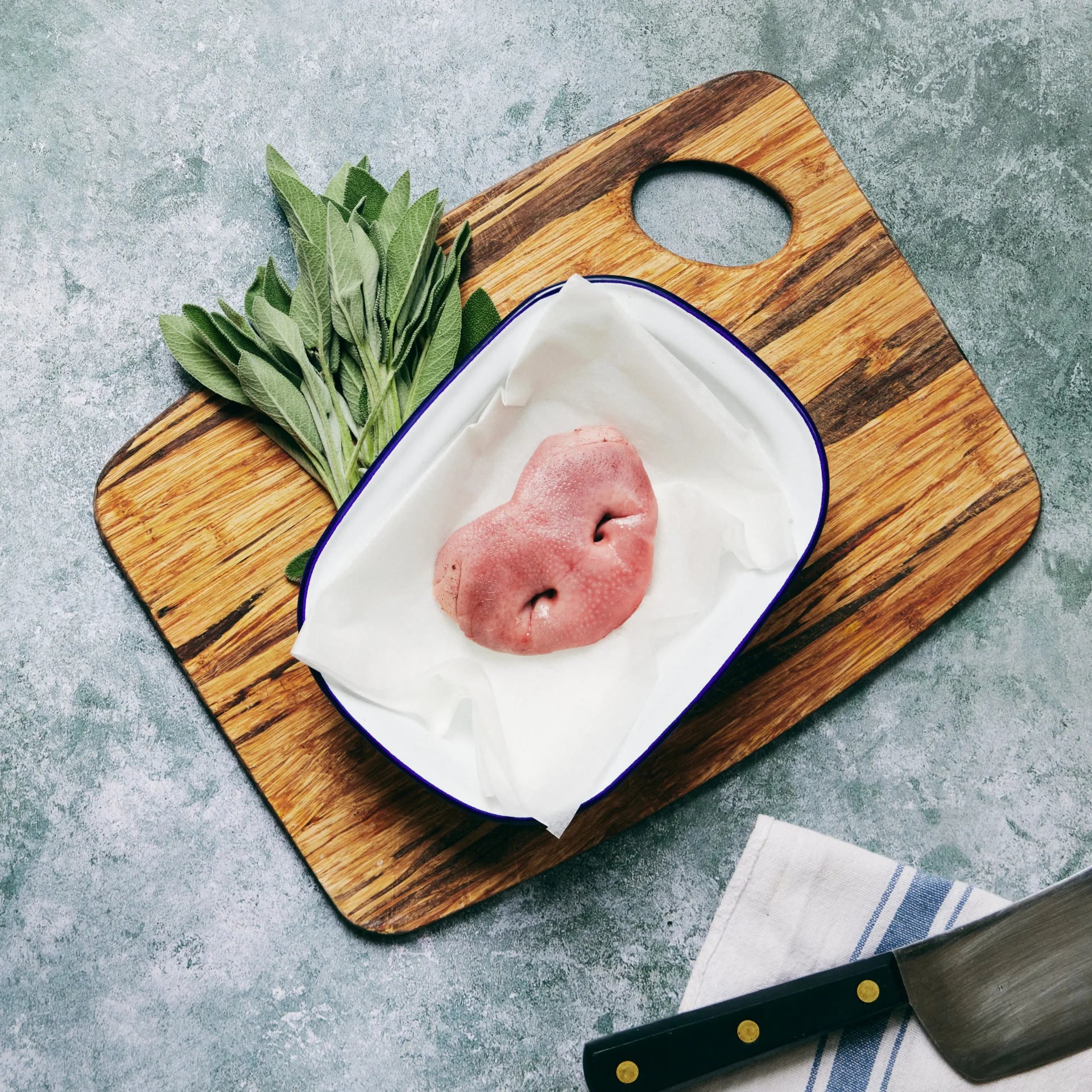 Pig, Snout
