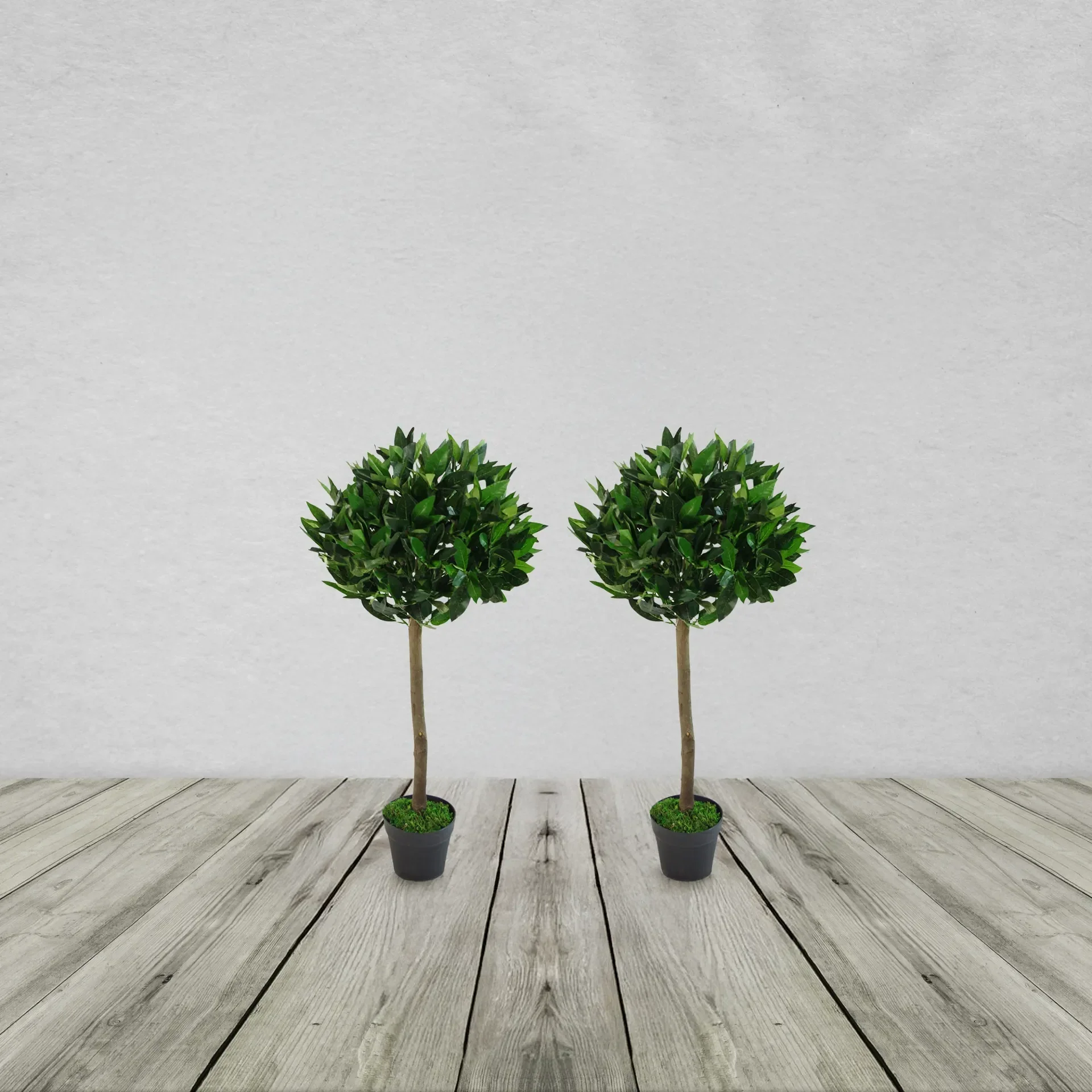 Plain Pair of Stem Artificial Topiary Bay Laurel Ball Trees