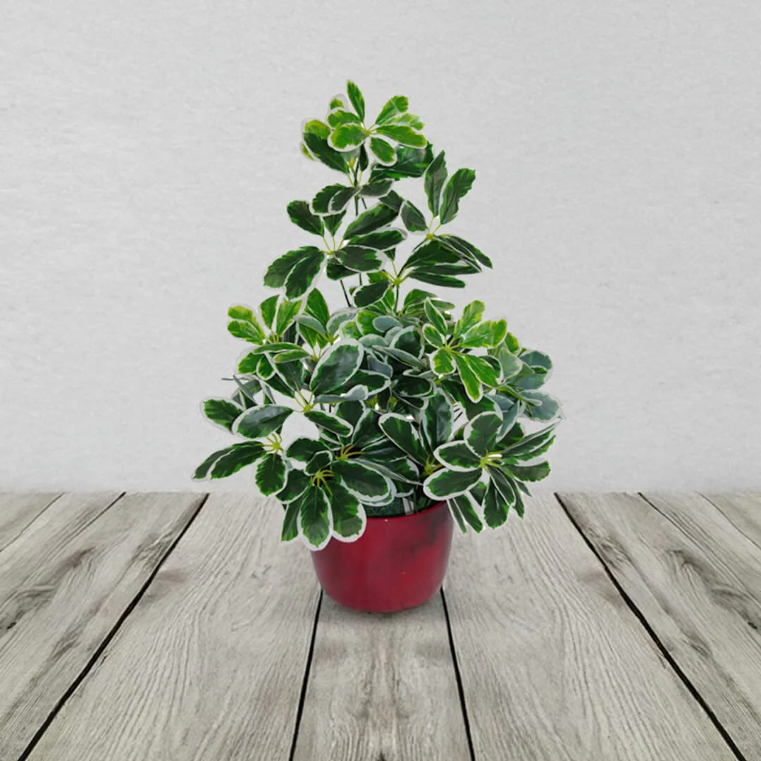 Variegated Artificial Schefflera Arboricola Plant