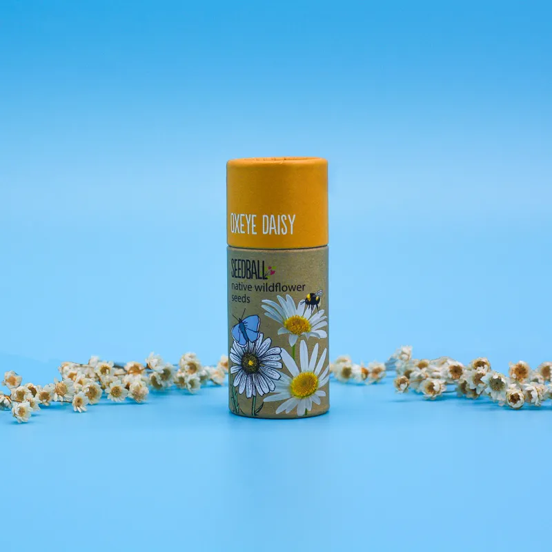 Wildflower Seedball Tube - Image 3