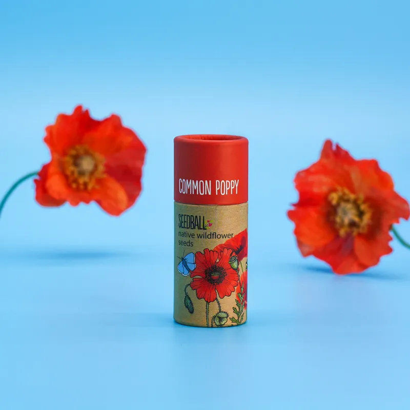 Wildflower Seedball Tube - Image 4