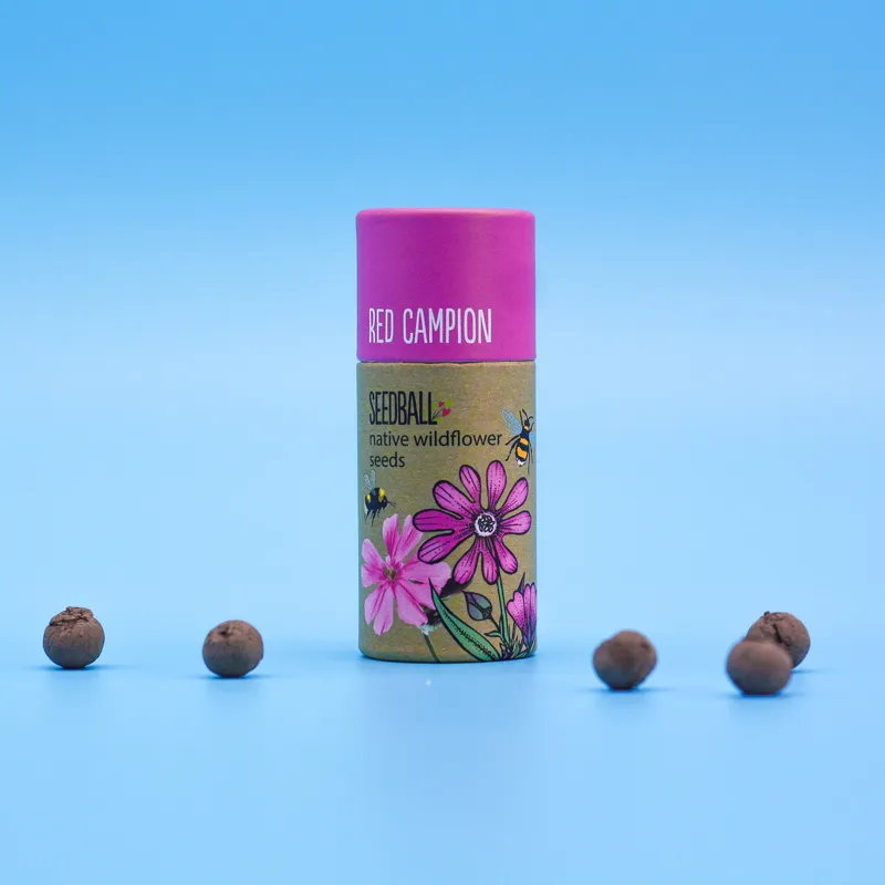 Wildflower Seedball Tube - Image 6